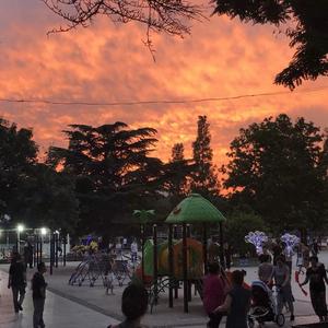 【FREE】SenSe OF GuiLt