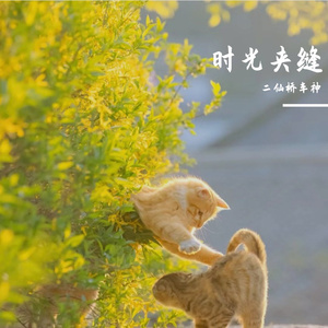 漠河舞厅（Cover 柳爽）