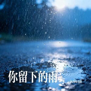 你留下的雨