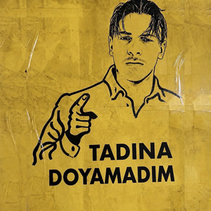 Tadına Doyamadım