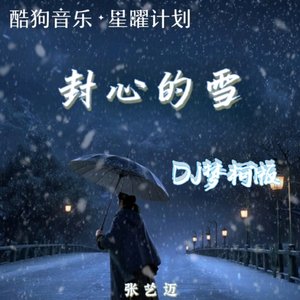 封心的雪DJ梦柯版
