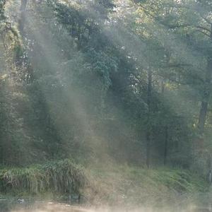 这一生关于你的风景