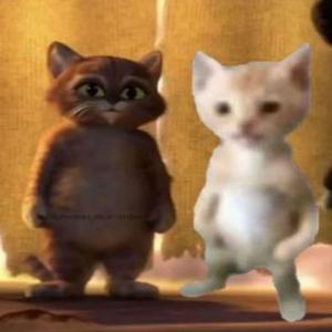 PU$$Y