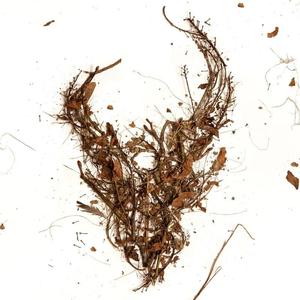 My Throat Is An Open Grave