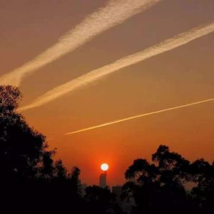 没有你的日子我真的好孤单