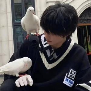 忘不掉的你 钢琴版