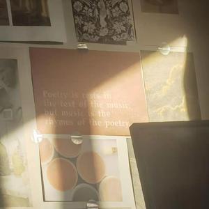 今夜的江滩公园没有烟花跨年