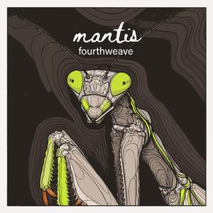 mantis