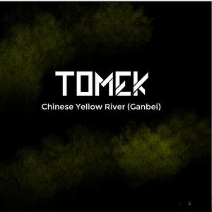 Chinese Yellow River (Gambei)