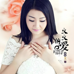 火火的爱 (DJ版)