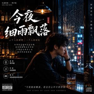 今夜细雨飘落