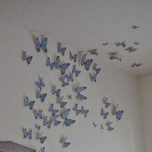 SkyButterFly（Prod.by EVO MUSIC）