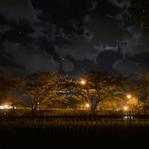 セーブポイント 1 (RPG)