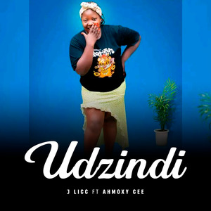 Udzindi