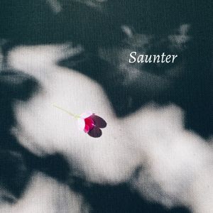 Saunter