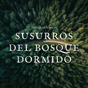 Crujientes Hojas De Sueños