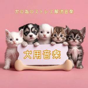 犬が落ち着くひととき