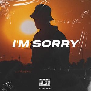 I'm Sorry (feat. Dannt El Ingeniero)
