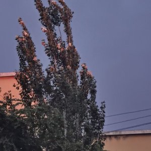 那天想过永远