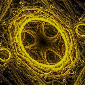 Ocho Preludios para Cello y Piano: III. Con ritmo