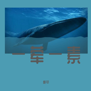 一荤一素