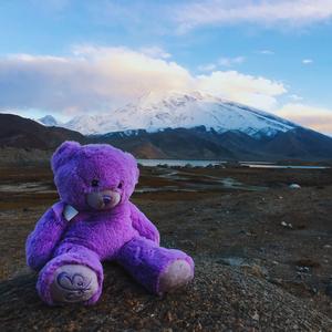 圣诞节你送了我苹果和橙子