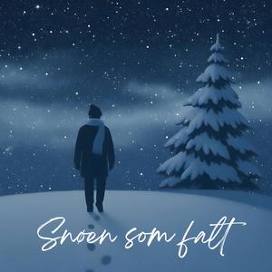 Snøen Som Falt