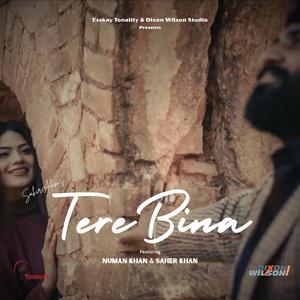 Tere Bina (feat. Numan Khan, Sahir Alam & Sumble Noreen)
