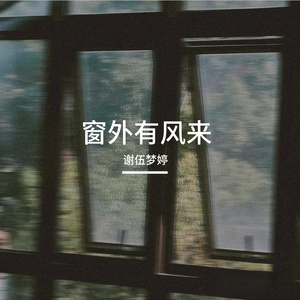 窗外有风来