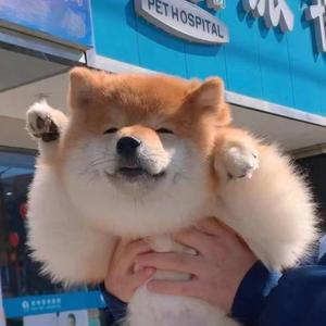 自然醒（翻自 潘超）