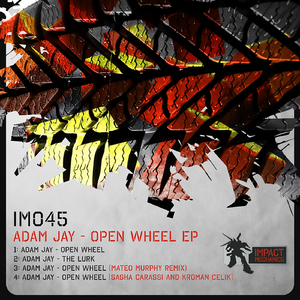 Open Wheel (Sasha Carassi, Kroman Celik Remix)