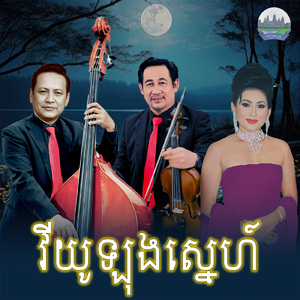 វីយូឡុងស្នេហ៍