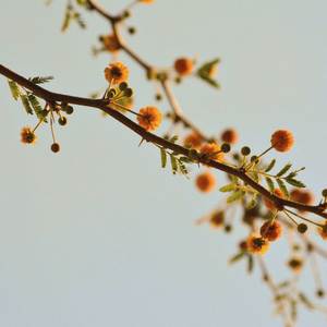 Heartsick Hymn (From Somewhere Quiet Rework)