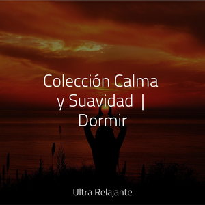 Sentimiento De Conexión