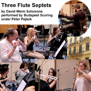 Gautier's Noel (Noel Di Gautier) [For Flute Septet]