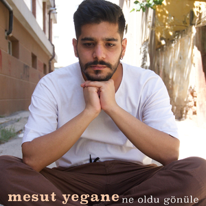 Ne Oldu Gönüle