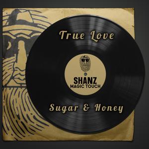 Magic Touch (feat. Shanz)
