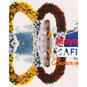 Moyo Safi