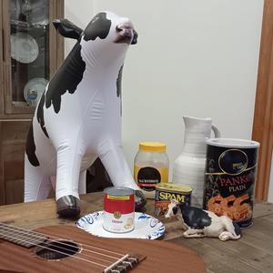 Whamola Jam 7