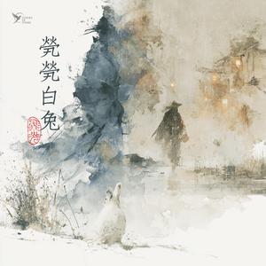 煢煢白兔 (Solitary White Rabbit)