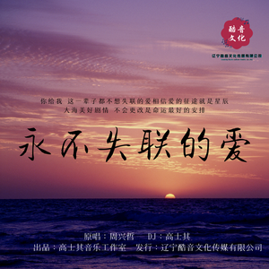 周兴哲-永不失联的爱（DJ新版）（高士其 remix）