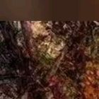 还没开始就结束了 (3)