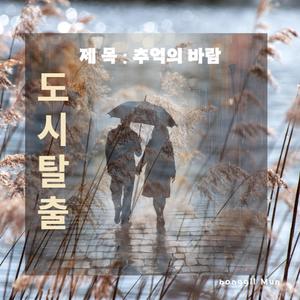 추억의 바람