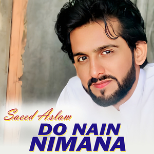 Sadi Basti Kujh Arsay Too (1)