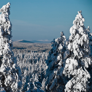 Snövals över Rajvoheden