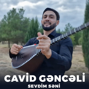 Sevdim Səni