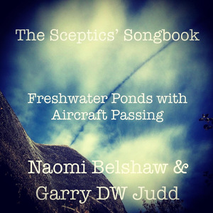 Freshwater Ponds with Aircraft Passing