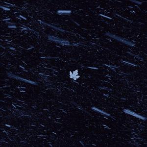 如果还能遇见你