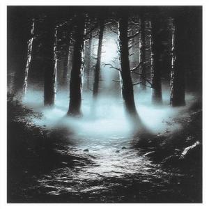 Whispered Reverie