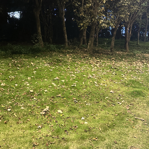 Girl my baby girl（Prod by Darutobeatz）